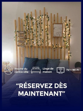 Appartement Business&Famille près gare Orleans TV WIFI
